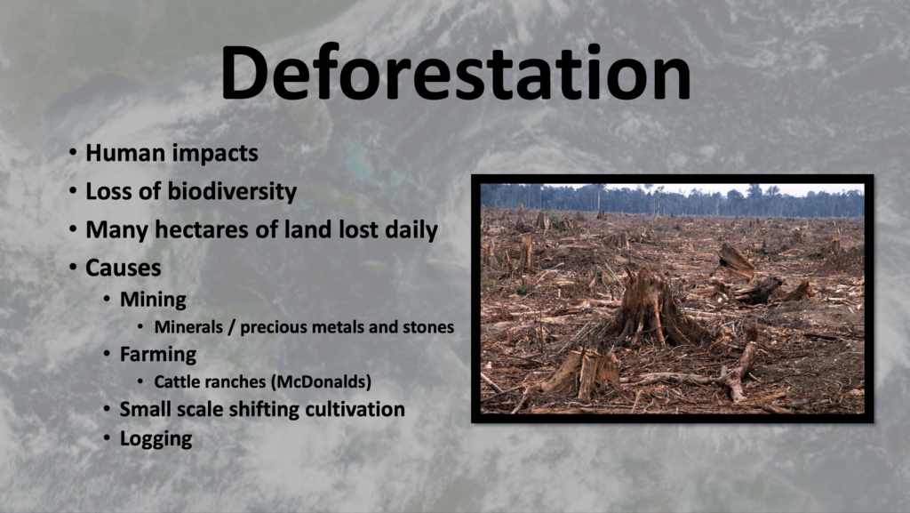 Water Climate and Ecosystem